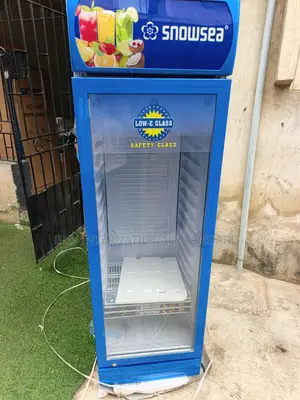 Snowsea LC 300L Business Refrigeration Equipment for Retailers