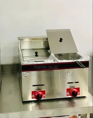 Deep Fryer Gas Double Basket