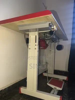 Two Lion Machine