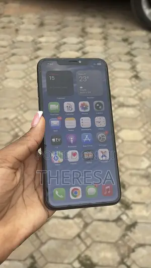 Apple iPhone 11 Pro Max 256 GB Gray