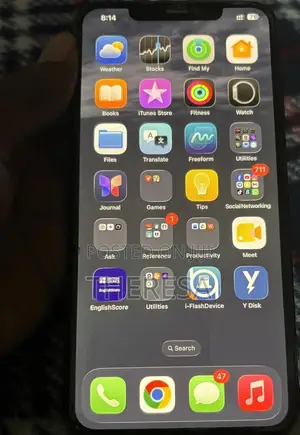 Apple iPhone 11 Pro Max 256 GB Gray