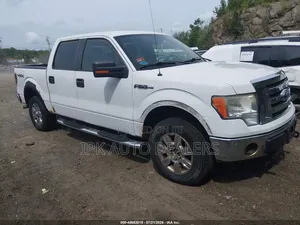 Ford F-150 SuperCrew 4x4 2009 White