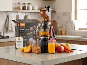 RAF 250W Electric Slow Juicer Extractor