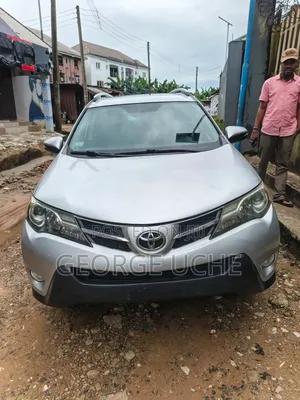 Toyota RAV4 XLE 4dr SUV (2.5L 4cyl 6A) 2014 Silver