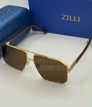 Original Quality Luxury Zilli Men Sunglasses