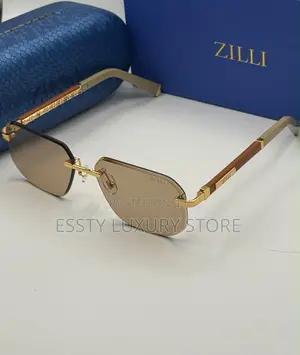 Original Quality Luxury Zilli Men Sunglasses