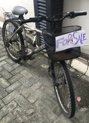 Fairly Used Bicycle