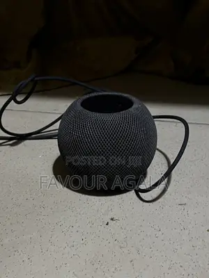 Apple Mini Home Pod