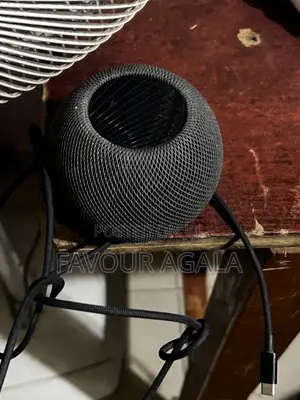 Apple Mini Home Pod