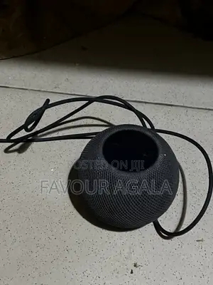 Apple Mini Home Pod