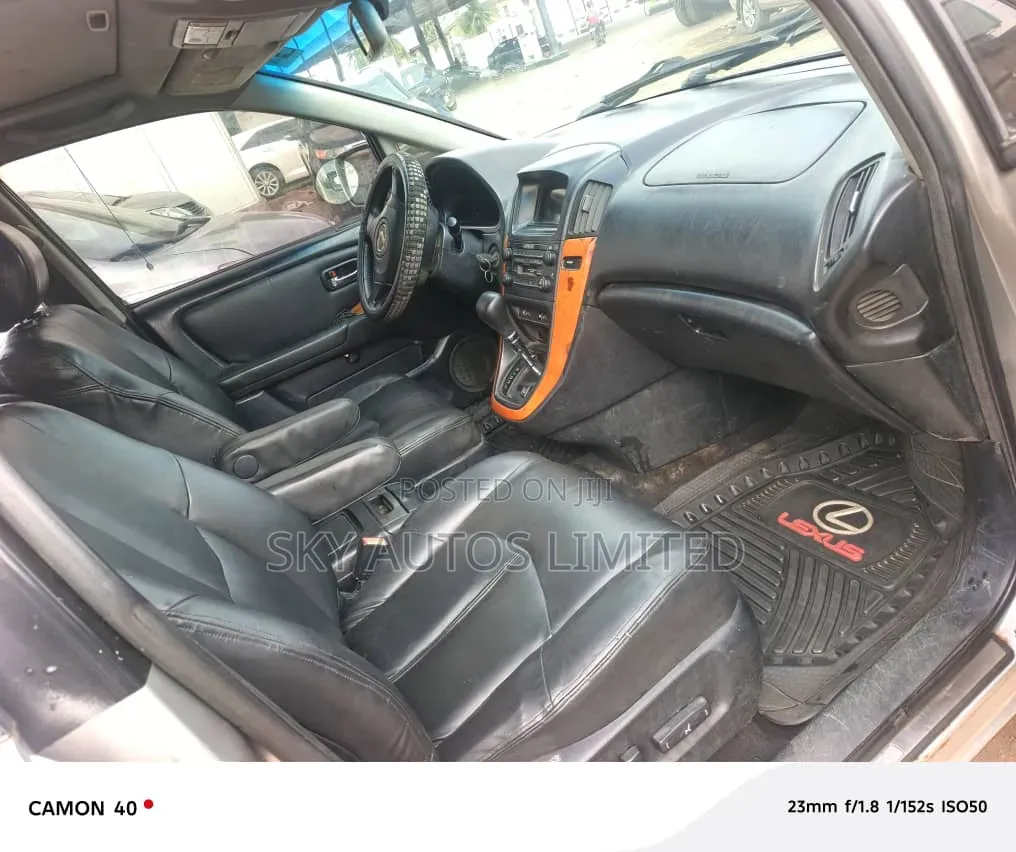 Lexus RX 300 2001 Silver