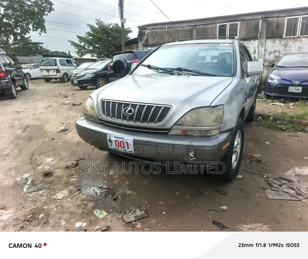 Lexus RX 300 2001 Silver