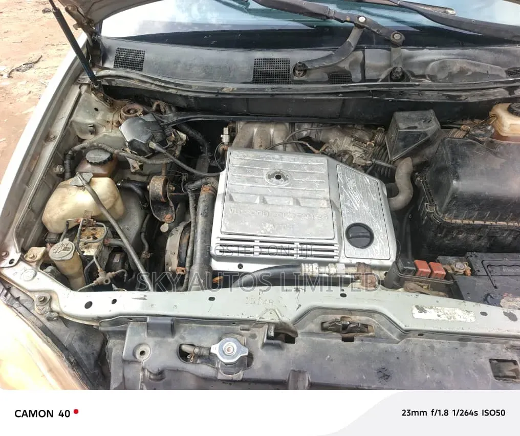 Lexus RX 300 2001 Silver