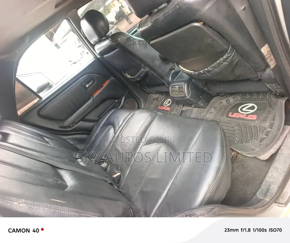 Lexus RX 300 2001 Silver