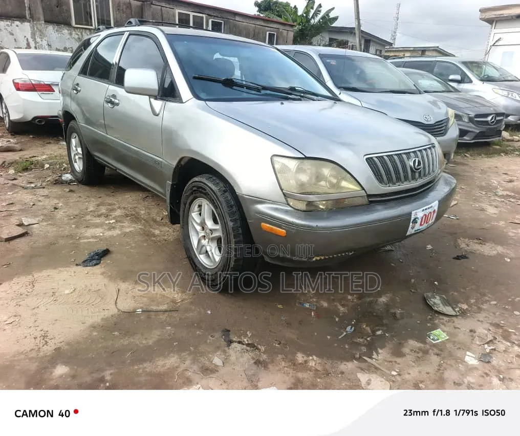 Lexus RX 300 2001 Silver
