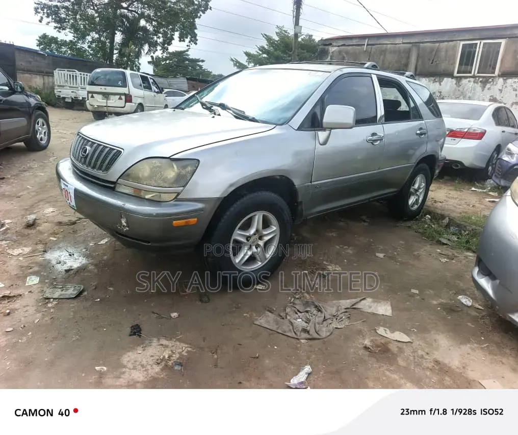Lexus RX 300 2001 Silver
