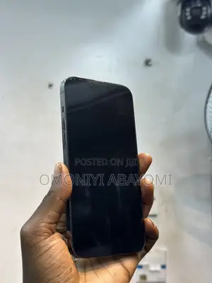 Apple iPhone 13 Pro Max 256 GB Black