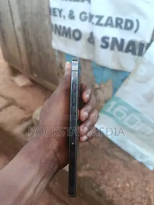 Apple iPhone 12 Pro Max 256 GB Black
