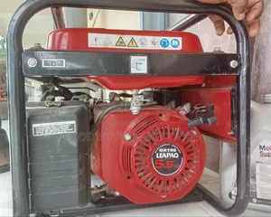 Neatly Used LEAPAQ Generator