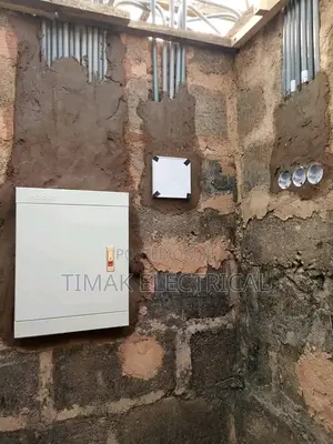 I Am a Professional Electrician