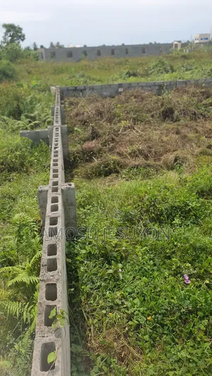 A Plot of Land