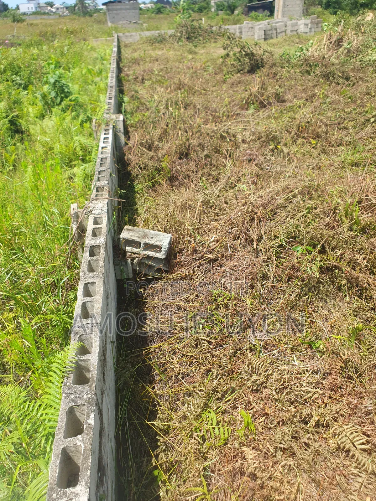 A Plot of Land at Mowo Along Ikoga Road