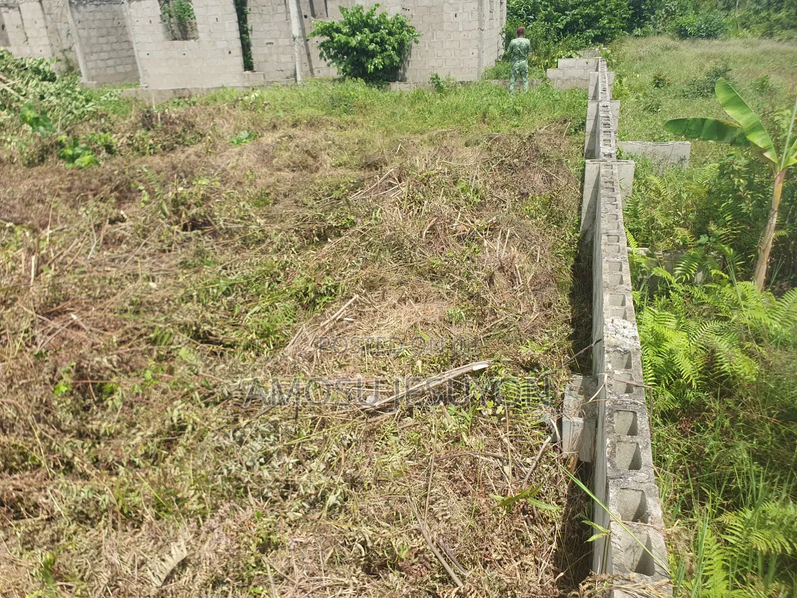A Plot of Land at Mowo Along Ikoga Road