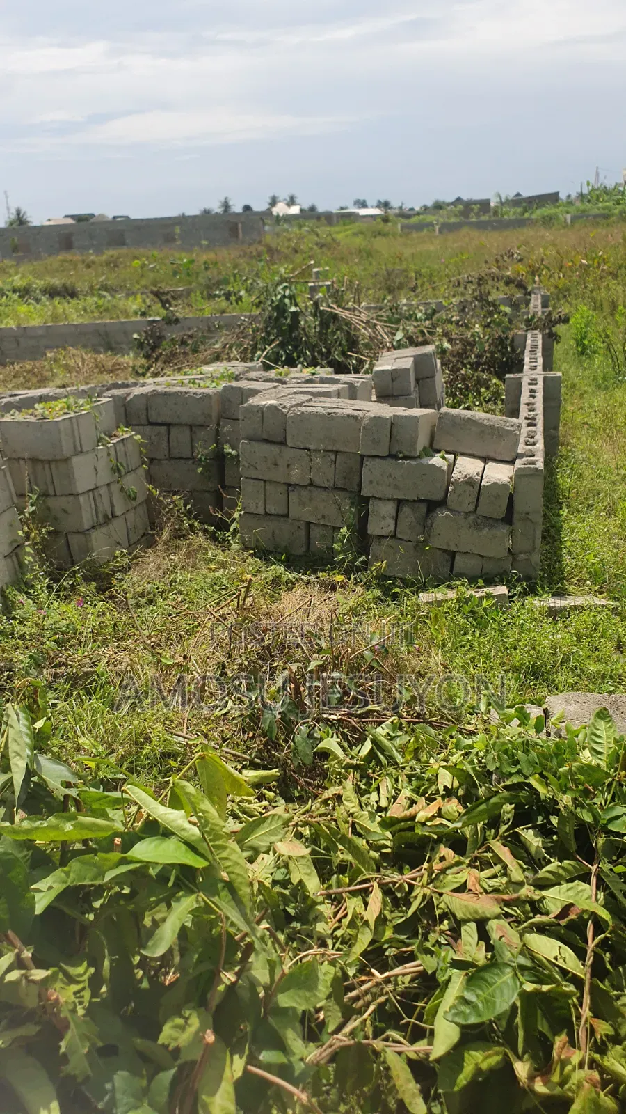 A Plot of Land at Mowo Along Ikoga Road