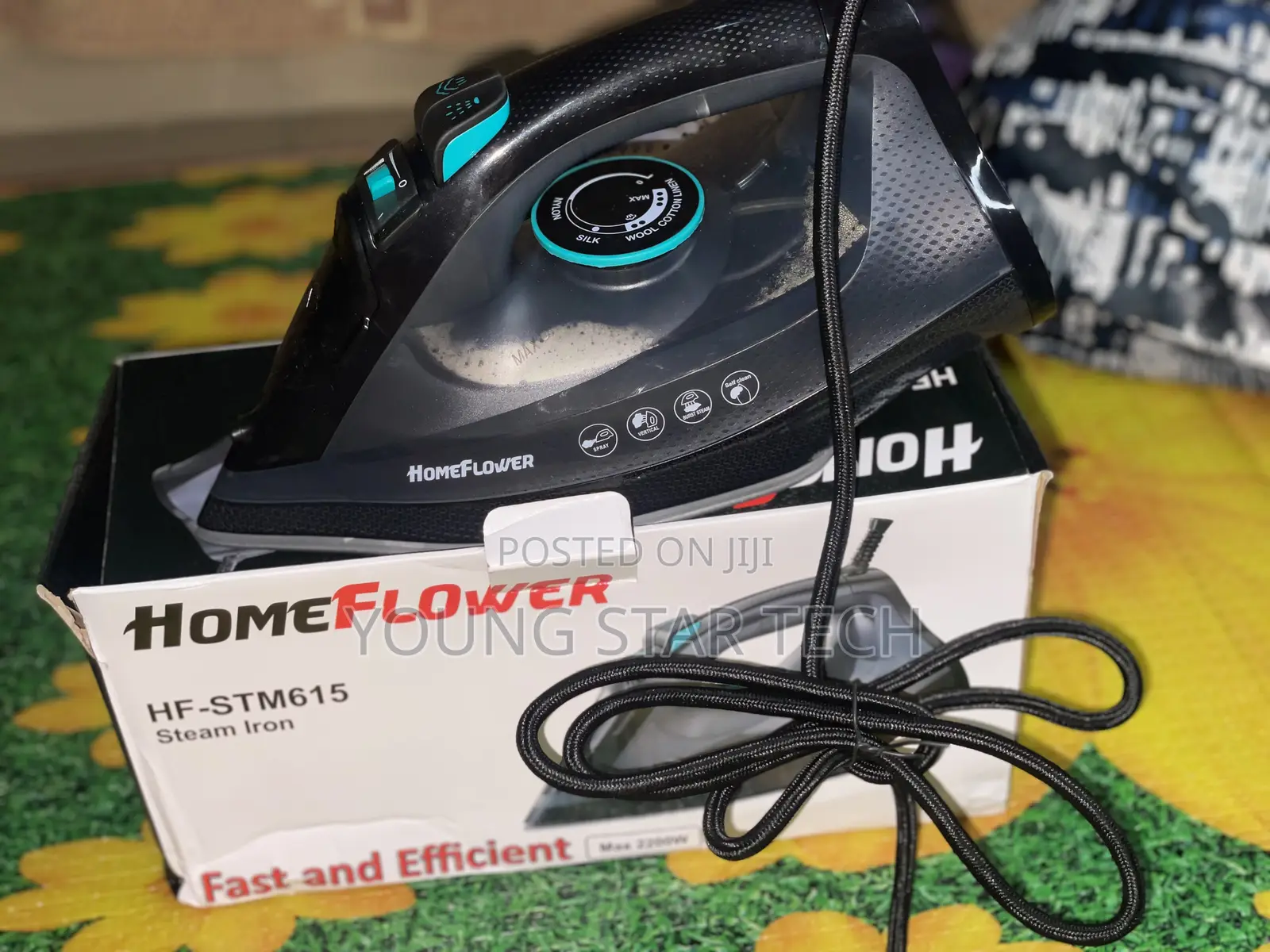 Steam Iron