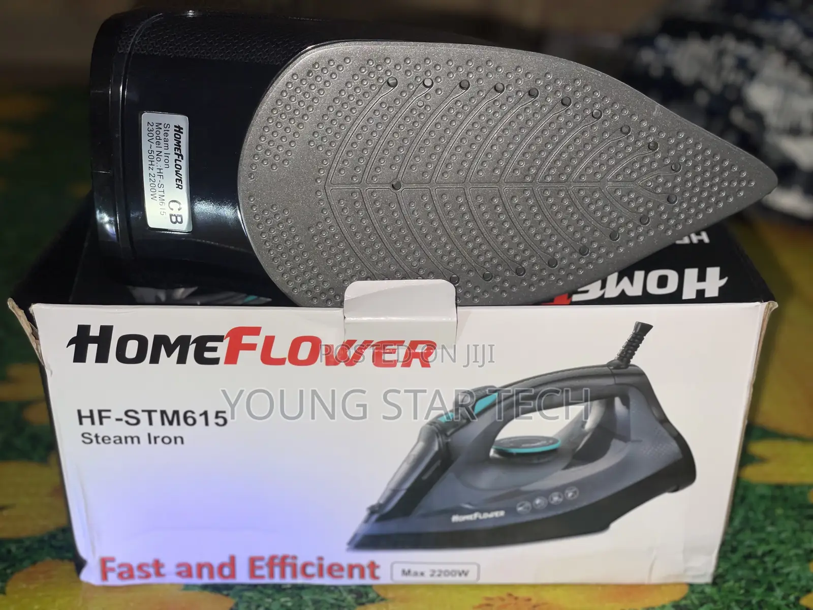 Steam Iron