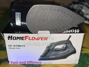 Steam Iron
