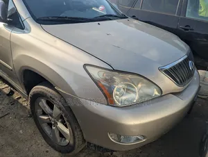 Lexus RX 330 2004 Gray