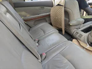 Lexus RX 330 2004 Gray