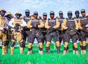 Professional Bouncers/Bodyguards in Abuja