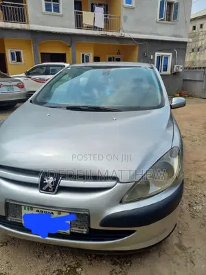 Peugeot 307 2003 Gray