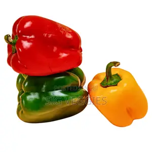 Bell Pepper Red, Yellow & Green
