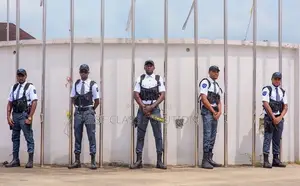 Professional Security Personnel in Enugu