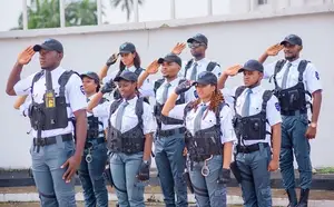 Professional Security Personnel in Anambra