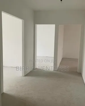 Interior Wall Division Services