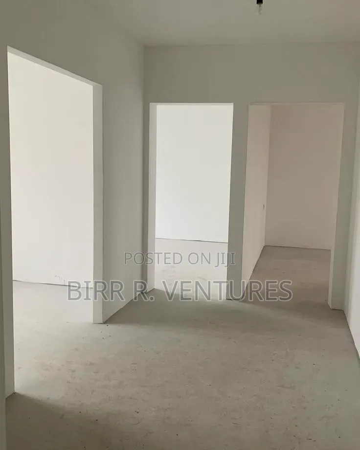 Interior Wall Division Services