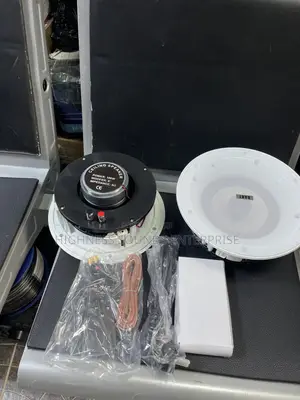 100w 2in1 WiFi and Bluetooth Frameless Ceiling Speaker