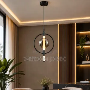 Modern Black Metal Ring and Smoke-Gray Glass Globe LED Pendant Light.
