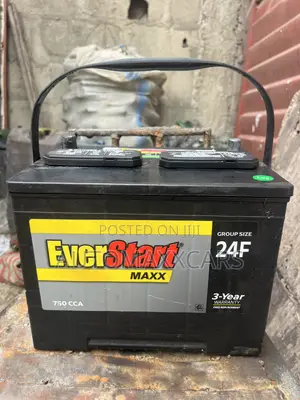 Everstart Maxx Car Battery