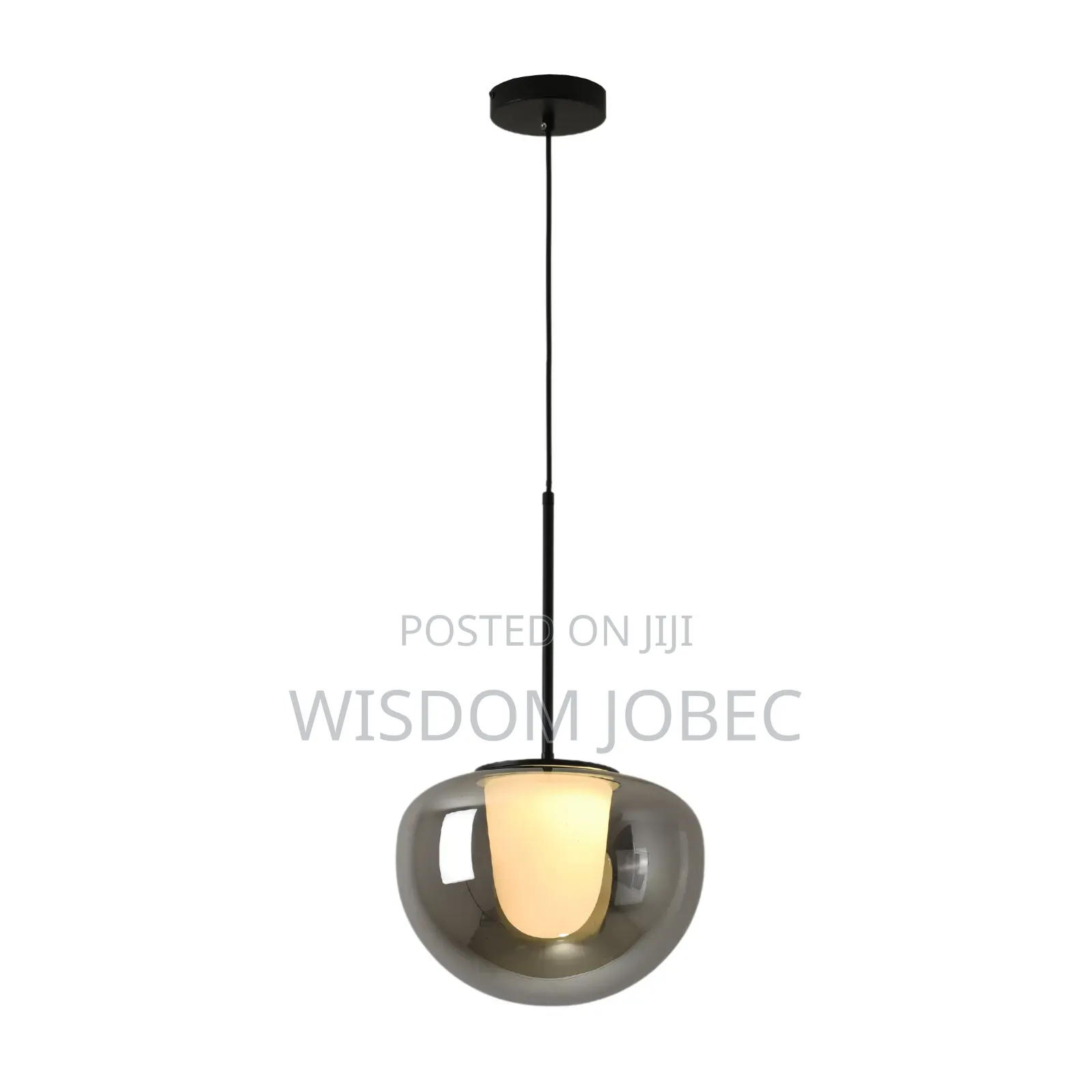Modern Smoked Glass Globe Pendant Light