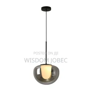 Modern Smoked Glass Globe Pendant Light