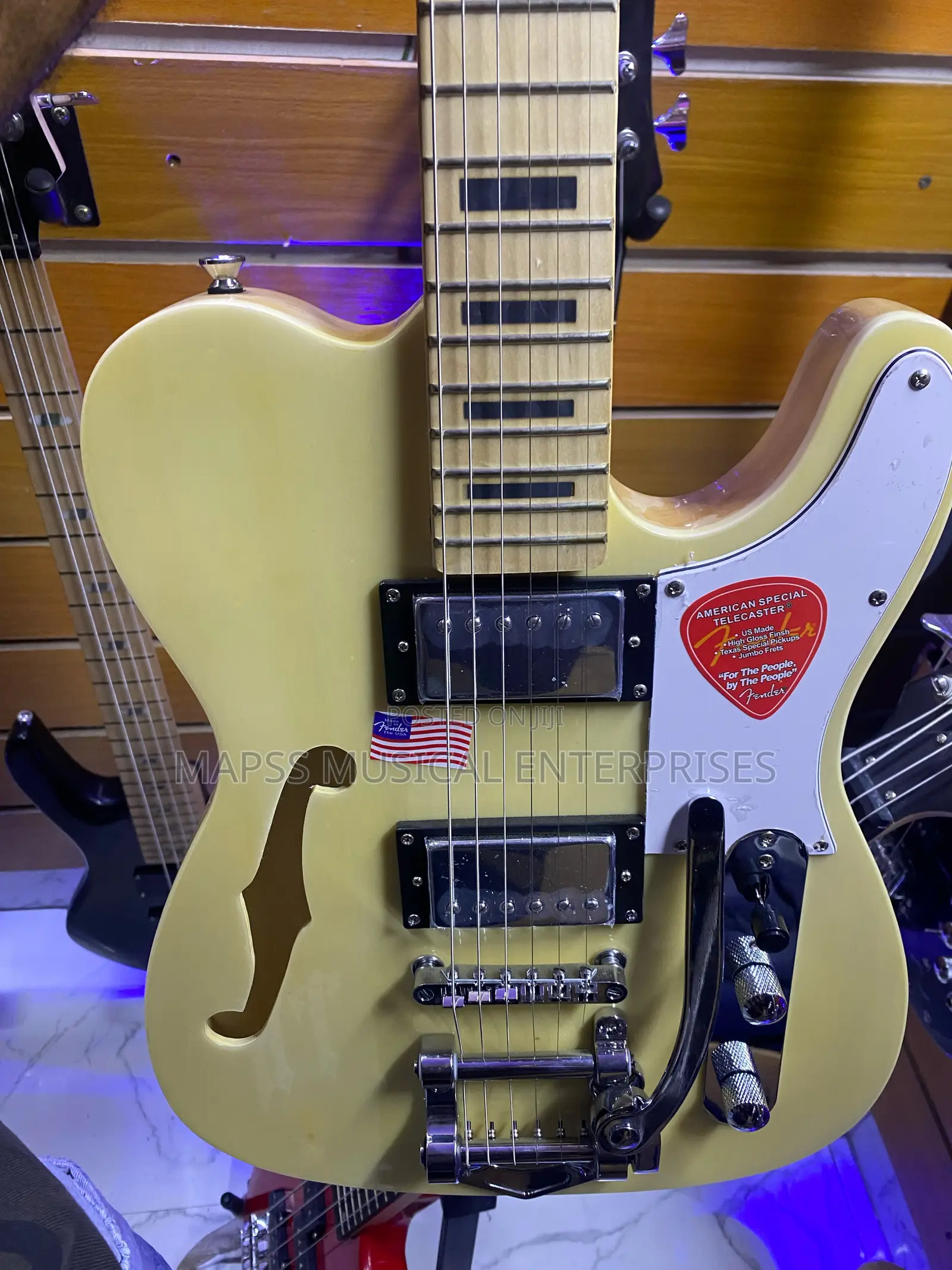 Fender Semi-Hollow Body Electric Guitar