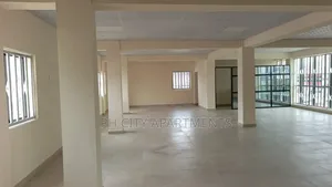 Premium Office Plane