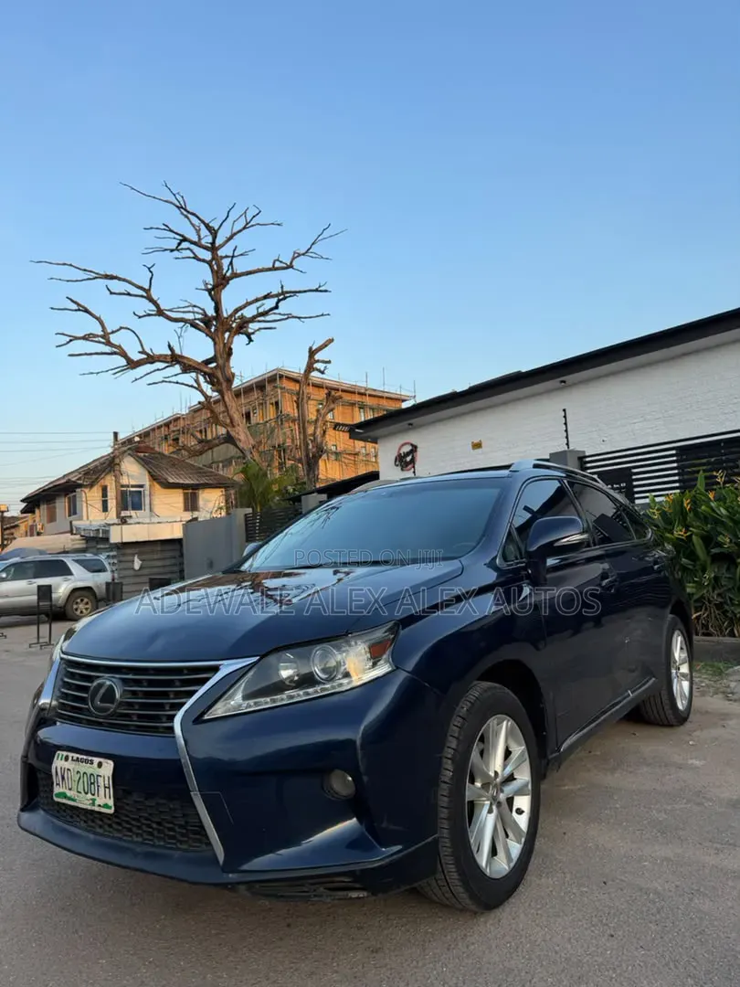 Lexus RX 2014 Gray