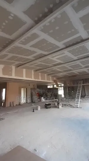 Professional Gypsum Ceiling Installation