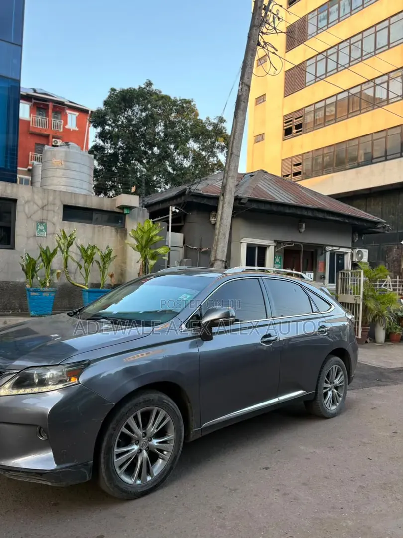 Lexus RX 2013 Gray